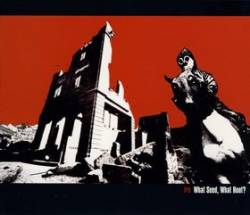 Ire (CAN) : What Seed, What Root?